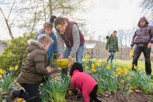 finding the easter eggs - garden decoration stock pictures, royalty-free photos & images