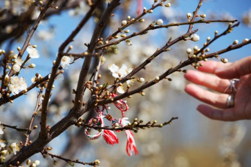 first day of spring - garden decoration stockfoto's en -beelden