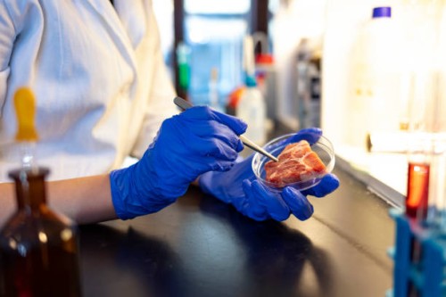first rule of working in a lab: stay safe - food stock pictures, royalty-free photos & images