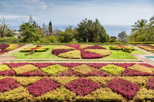 floral beds in botanical garden of funchal - garden decoration stock pictures, royalty-free photos & images