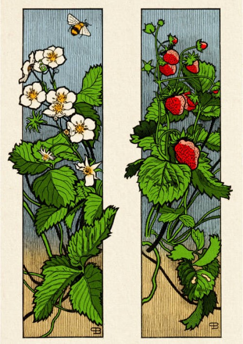floral ornament with strawberry fruit and blossom plant decorative art nouveau 1897 - garden decoration stock illustrations