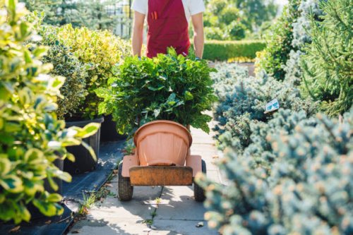 florist working in the garden center - garden decoration stock pictures, royalty-free photos & images