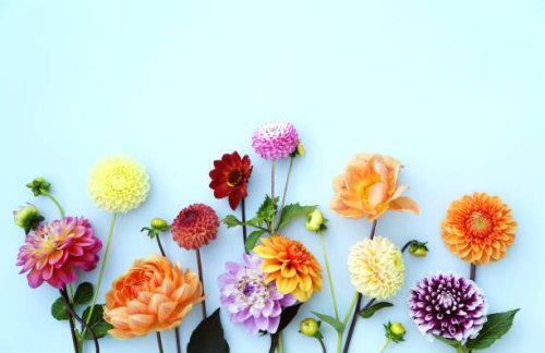 flower arrangement - garden decoration stock pictures, royalty-free photos & images