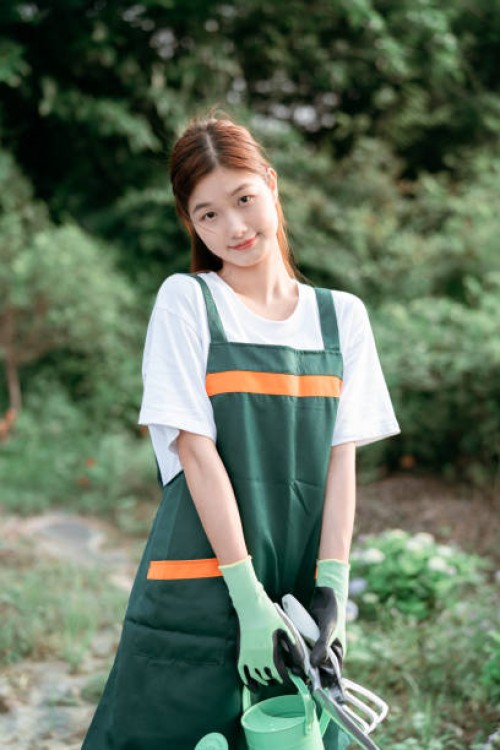 flower art teacher - garden decoration stock pictures, royalty-free photos & images