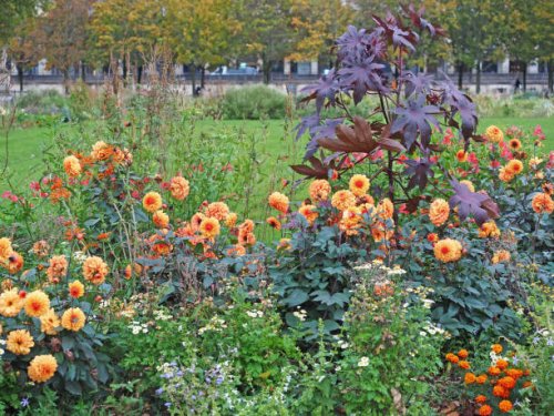 flower garden in full growth - garden decoration stock pictures, royalty-free photos & images