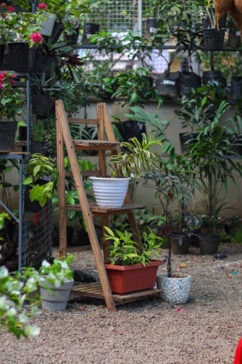 flower pots with decorative plants for sale. - garden decoration stock pictures, royalty-free photos & images