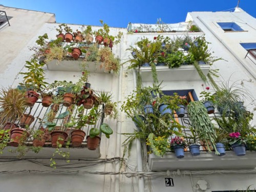flower pots with plants decorating a balcony - garden decoration stock pictures, royalty-free photos & images