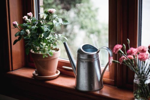 flowers and watering can by a window - garden decoration stock pictures, royalty-free photos & images