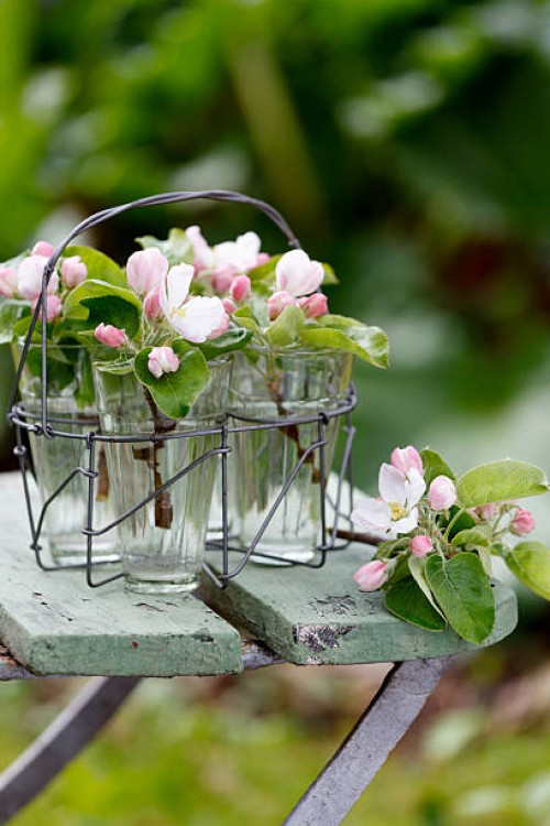 flowers in glasses - garden decoration stock pictures, royalty-free photos & images