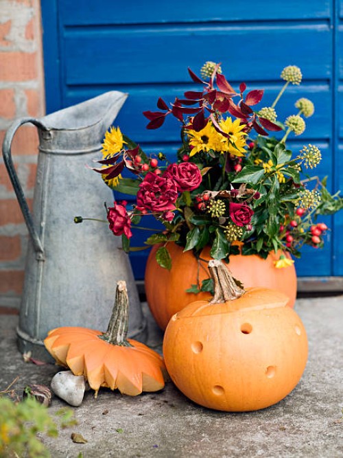 flowers in pumpkins in a garden. - garden decoration stock pictures, royalty-free photos & images
