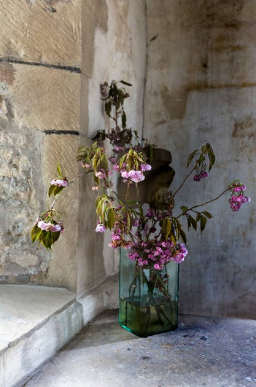 flowers near the window - garden decoration stock pictures, royalty-free photos & images