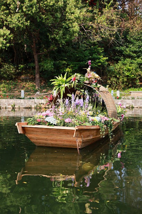 flowers on boat - garden decoration stock pictures, royalty-free photos & images