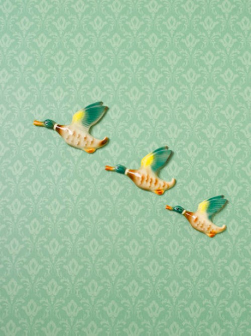 flying duck ornaments on wallpapered wall - home decoration stock pictures, royalty-free photos & images