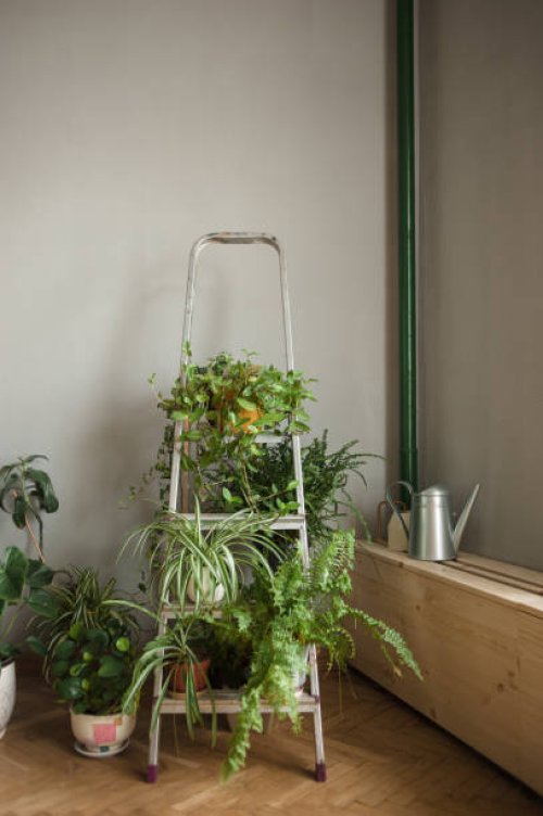 folding ladder used as shelve for home plants in urban jungle interior - garden decoration stock pictures, royalty-free photos & images