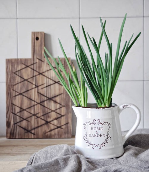 food photography in bright kitchen interior with still life of white jug front view with sprouted onion and a wooden board in the background - garden decoration stock-fotos und bilder
