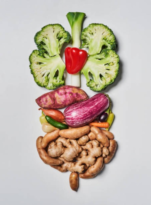 food resembling the human digestive system. - food stock pictures, royalty-free photos & images