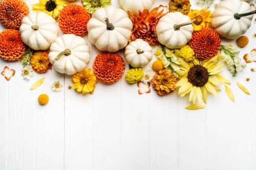 frame of white decorative pumpkins with autumn flowers on white wooden background. thanksgiving day and halloween concept. photography from above with copy space - home decoration stock pictures, royalty-free photos & images