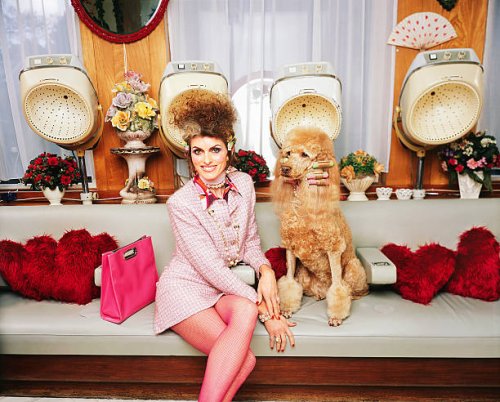 frau mit haustier pudel in retro-friseursalon - hairstyle stock-fotos und bilder