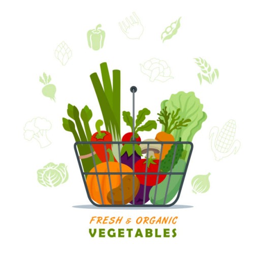fresh and organic vegetables in shopping basket. - food stock illustrations