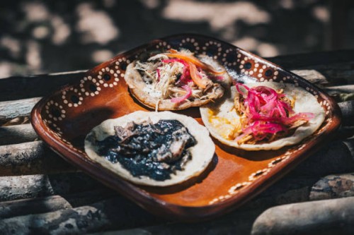 fresh filled tortillas on a colourful plate - food stock pictures, royalty-free photos & images