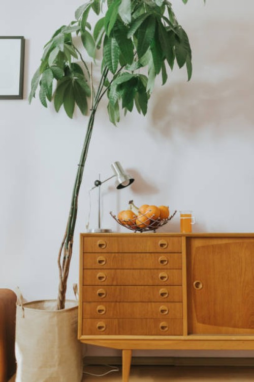 fresh fruit bowl at home interior - home decoration stock pictures, royalty-free photos & images