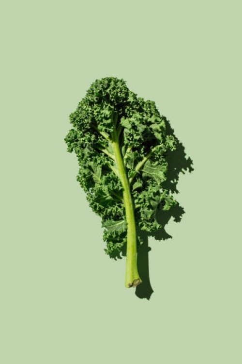 fresh green organic kale leaves on green background. healthy food, diet and detox concept. flat lay, top view - food stock pictures, royalty-free photos & images