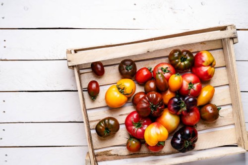fresh organic colorful heirloom and cherry tomatoes on rustic background, high angle view - garden decoration photos et images de collection