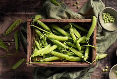 fresh organic green peas on wooden table - garden decoration photos et images de collection