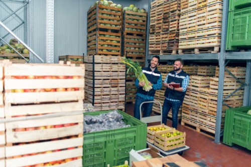 fresh vegetables in warehouse - food stock pictures, royalty-free photos & images
