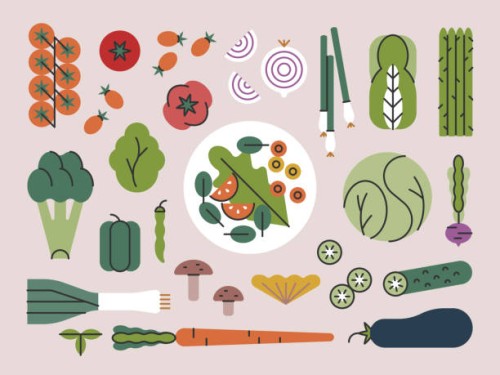 fresh vegetables & plate of salad — brightline series - food stock illustrations