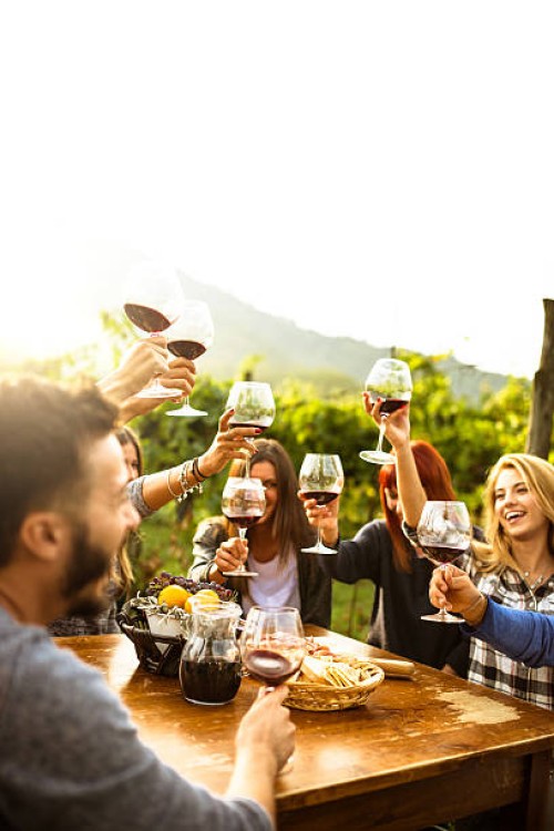 freunden anstoßen mit rotwein nach der ernte - food stock-fotos und bilder