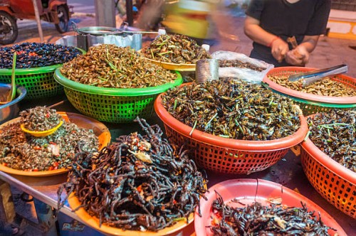 fried insects and bugs for sale in phnom penh, cambodia - food stock pictures, royalty-free photos & images