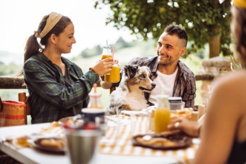 friends doing a lunch in the farm villa - garden decoration stock pictures, royalty-free photos & images