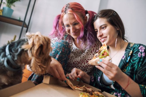 friends eating pizza together with cute terrier dog - junk food stock pictures, royalty-free photos & images