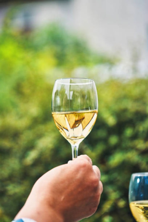 friends enjoy a glass of white wine at home in the patio - garden decoration photos et images de collection