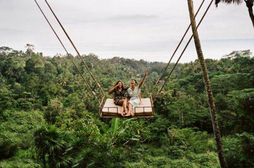 friends swinging together against forest - travel stock pictures, royalty-free photos & images