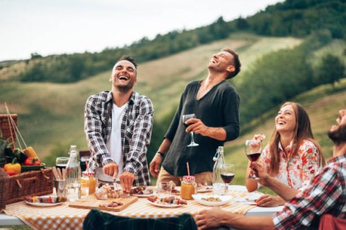 friends toasting at the picnic - food stock pictures, royalty-free photos & images