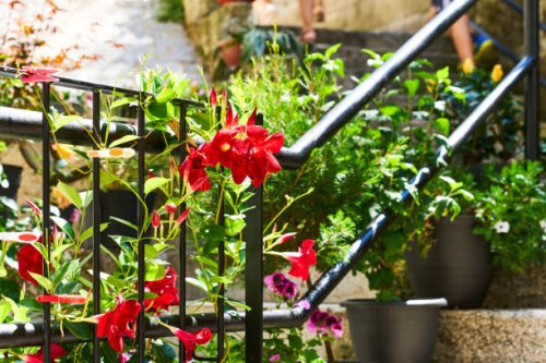 front view of a group of flowers on the railing of a staircase outside a house with plants - garden decoration stock pictures, royalty-free photos & images