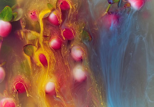 fruit and ink underwater - food stock pictures, royalty-free photos & images