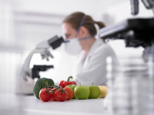 fruits and vegetables next to scientist using microscope - food stock pictures, royalty-free photos & images