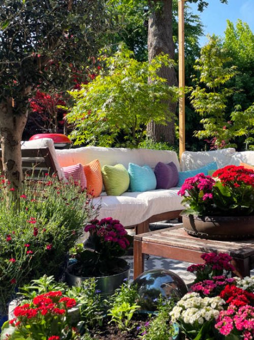 full frame image of outdoor lounging area in summer, hardwood seating with cushions, wooden table top with flowering plant centrepiece, bonsai trees, japanese maples, stone lantern, landscaped oriental design garden, sunny da