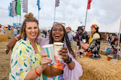 fun at a music festival - concert stock pictures, royalty-free photos & images