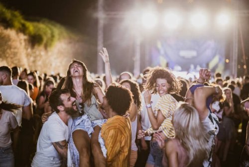 fun on music festival! - concert stock pictures, royalty-free photos & images
