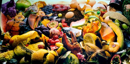 garbage - food stock pictures, royalty-free photos & images