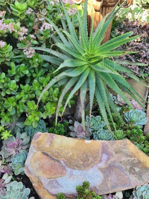 garden 28 - garden decoration stockfoto's en -beelden