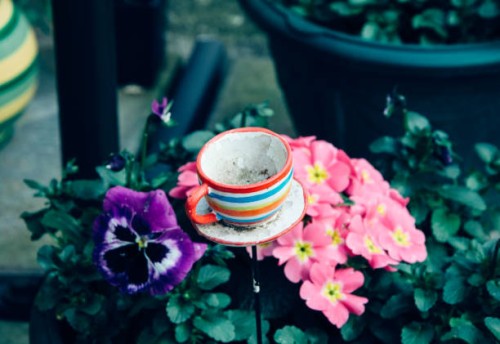 garden cup & saucer - garden decoration stock pictures, royalty-free photos & images