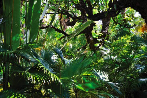 garden decor like tropical rain forest pattern - garden decoration stock pictures, royalty-free photos & images