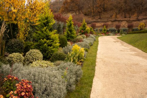 garden design in autumn. footpath and lawn with flowerbeds of red chrysanthemum flowers and other plants - garden decoration stock pictures, royalty-free photos & images