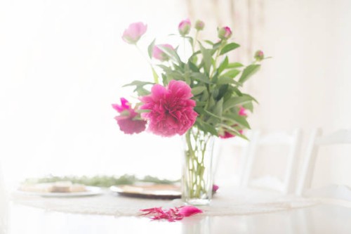 garden flowers - garden decoration stock pictures, royalty-free photos & images