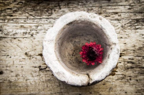 garden flowers #1 - garden decoration stock pictures, royalty-free photos & images